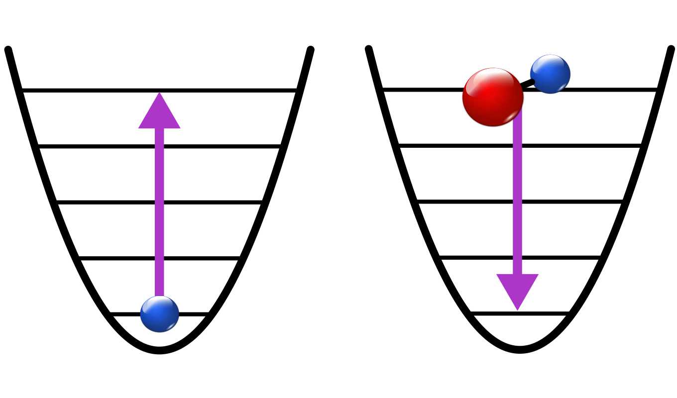 molecule cooling