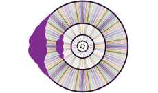 hyperbolic boundary