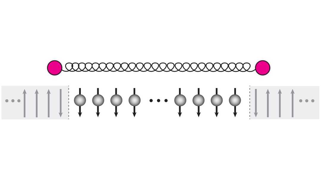 Observation of string-breaking dynamics in a quantum simulator | Joint ...