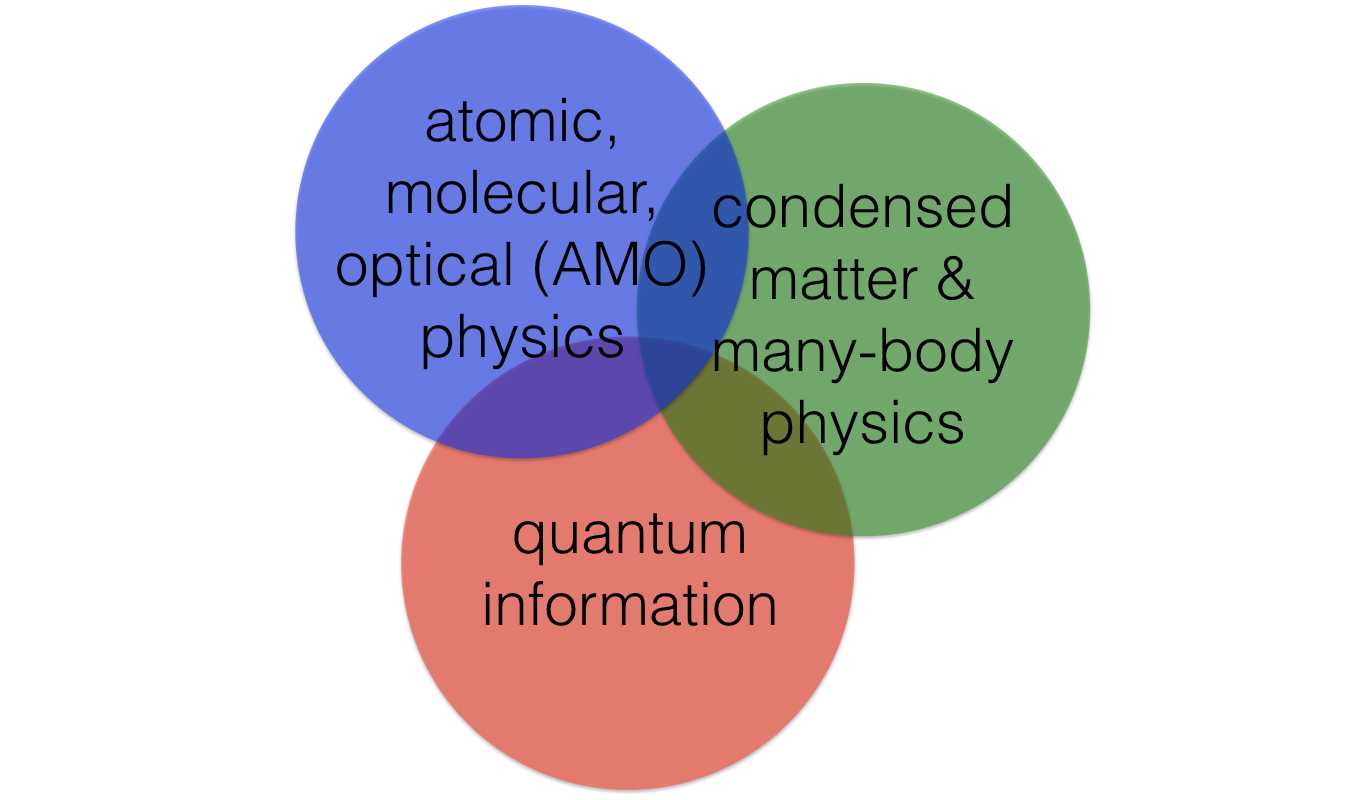 Gorshkov group research areas in diagram