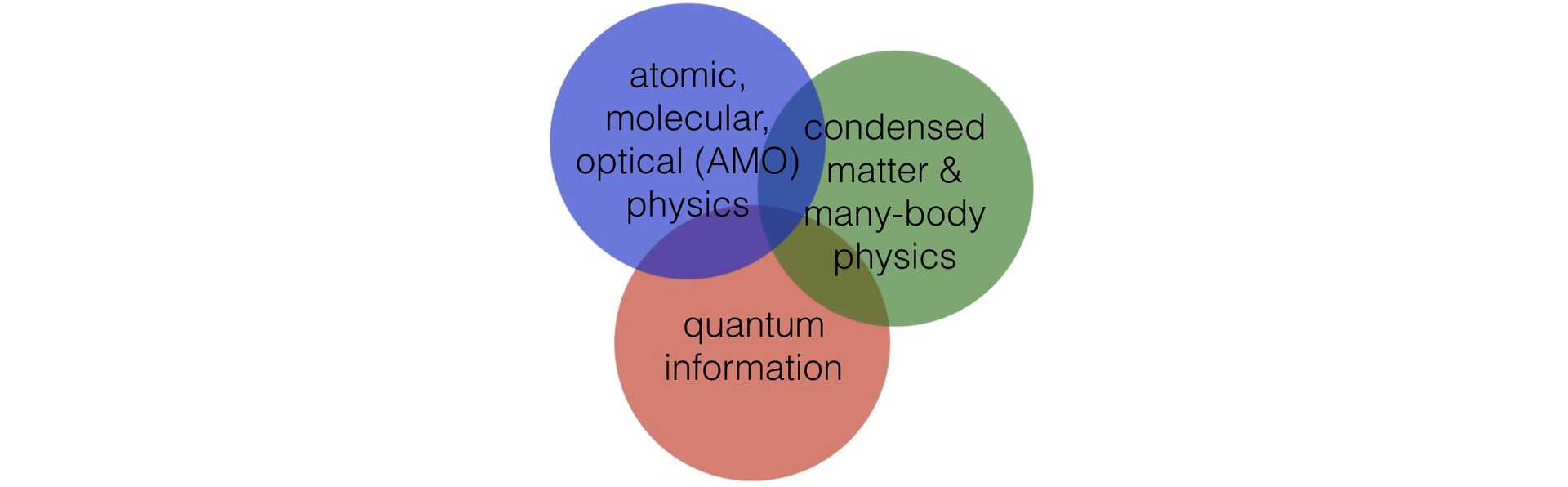 interface of atomic, molecular, optical (AMO) physics, quantum information, and condensed matter (as well as many-body) physics